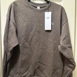 ALO Yoga Women's Crewneck Sweater in Dark Taupe